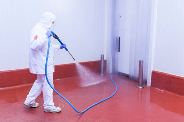 Boat and Dock Cleaning in Stonewall, LA
